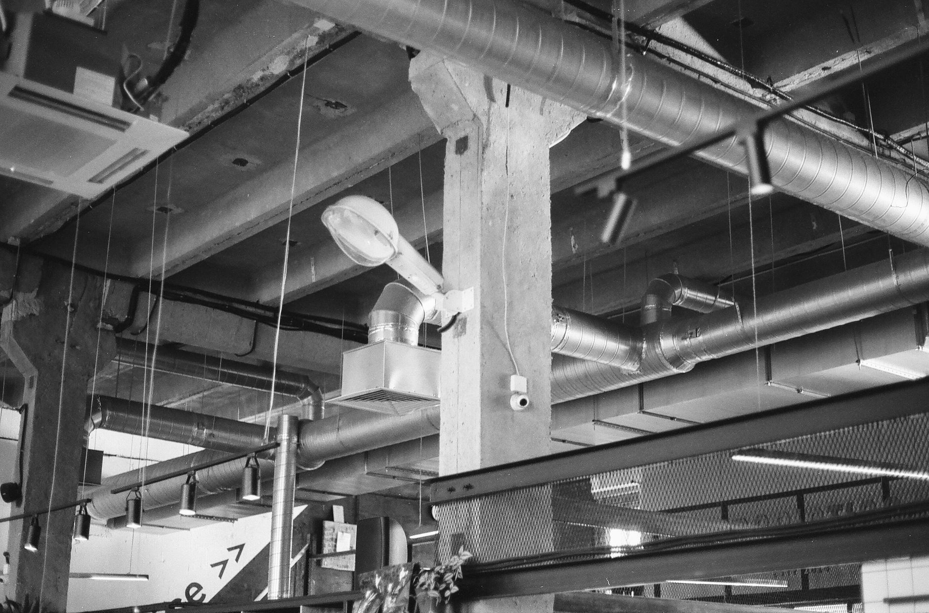 Glavna dvorana lofta z visokimi okni in industrijskim stropom